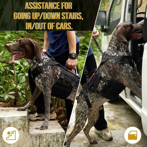 OneTigris Dog Lift Harness for XXL Dogs, Dog Hip Support Brace Full Body Lifter - Picture 4 of 7